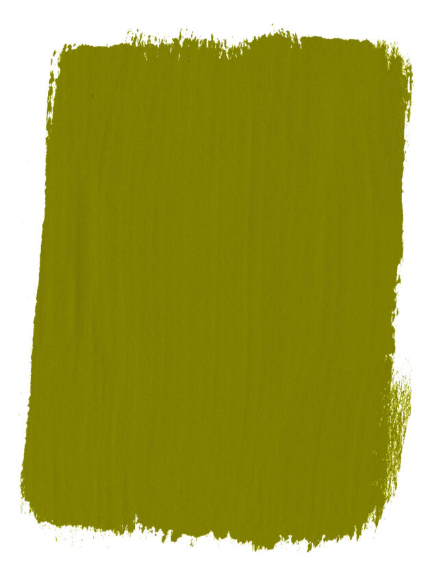 vopsea de creta verde Annie Sloa Chalk Paint Firle